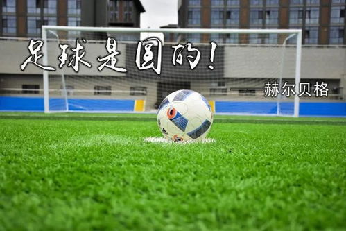 2023年山东省中小学生体育联赛激光射击比赛成功举办