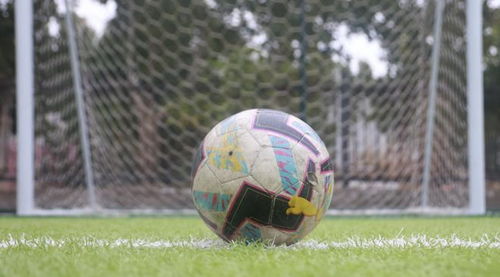 中超：连战连捷 河南队2-1云南玉昆