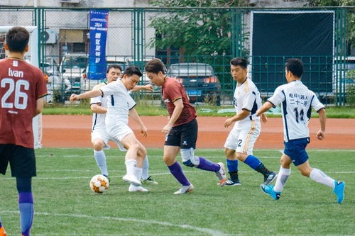 西甲：费德破门 加的斯1-0阿拉维斯