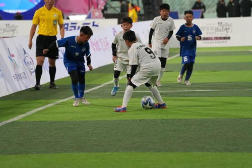 失意者联盟的成功！锡伯杜和尼克斯乃天作之合