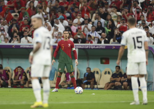 劳塔罗续约